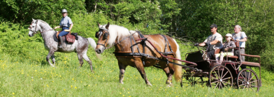 equestrian tours europe